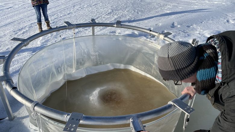 People wearing winter gear stand around a hole in a frozen lake. A metal circle with hanging plastic helps the researchers isolate samples from the lake.