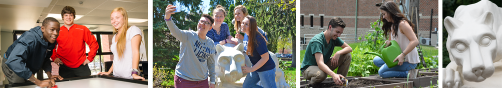 Students play air hockey; students pose for selfie by campus lion shrine; students in pollinator garden; Penn State Schuylkill lion shrine
