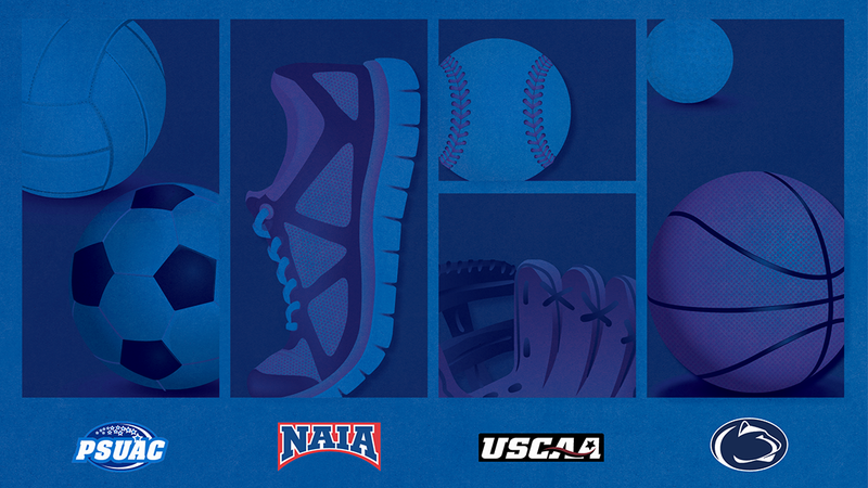 A graphic showing illustrations of balls and equipment for various sports.