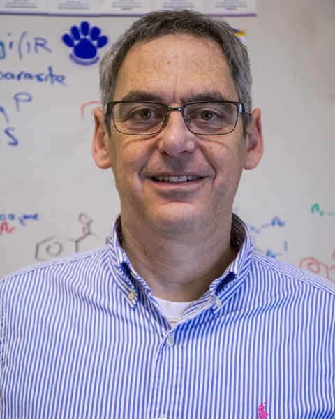 Lee Silverberg, associate professor of chemistry, Penn State Schuylkill