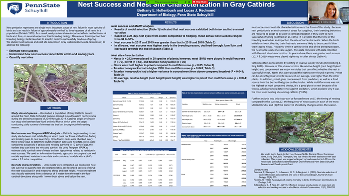Academic research poster titled "Nest Success and Nest Site Characterization in Gray Catbirds"