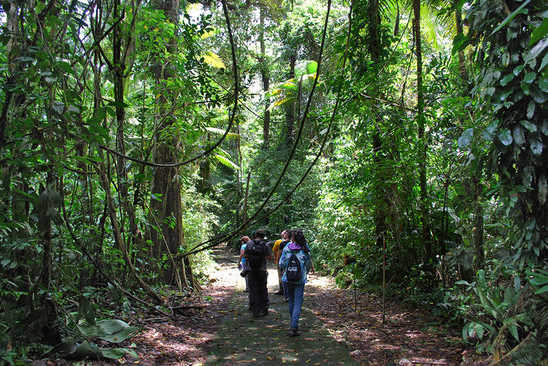 Penn State's CHANCE students trek through the Costa Rican jungle.
