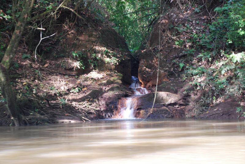 A small tributary feeds the Sarapiqui River.