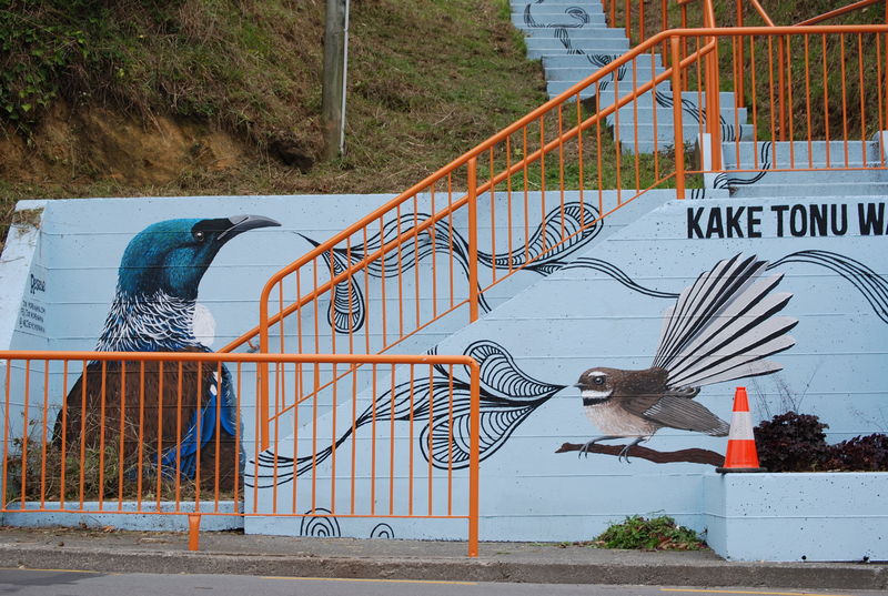 New Zealand features all sorts of wildlife, including myriad birds to whom this mural artist paid homage.