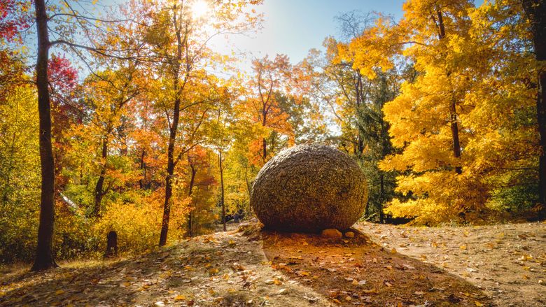 outdoors fall photo with rock