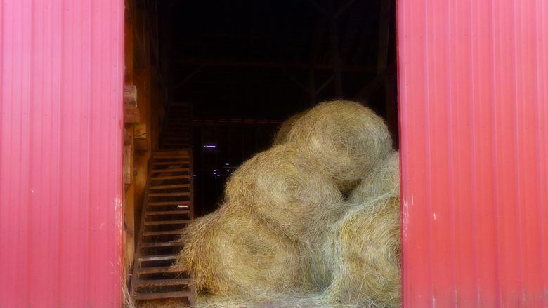 image of hay bales