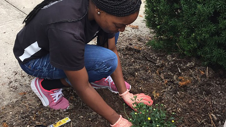 CSP student performing community service