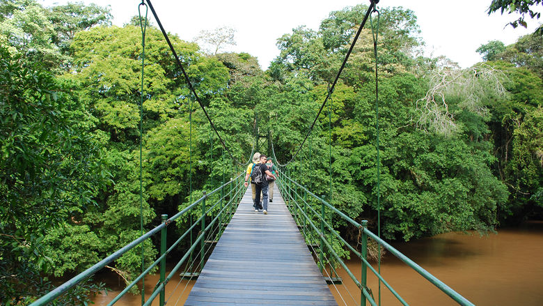 Penn State students cross a suspension bridge as they descend into the Costa Rican jungle.