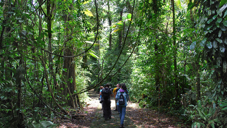 Penn State's CHANCE students trek through the Costa Rican jungle.