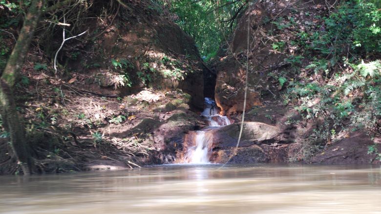 A small tributary feeds the Sarapiqui River.