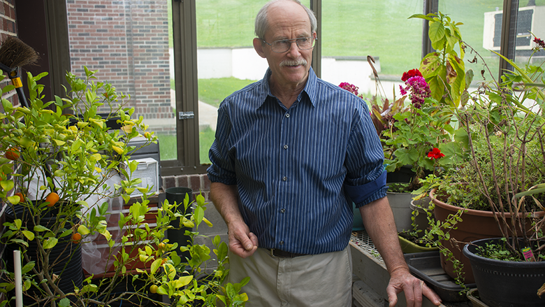 Rod Heisey stands in Penn State Schuylkill's greenhouse, surrounded by colorful flowers and a tree sprouting small oranges.