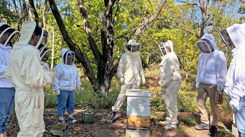 Beekeeping club
