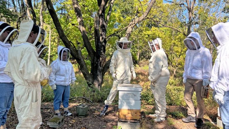 Beekeeping club