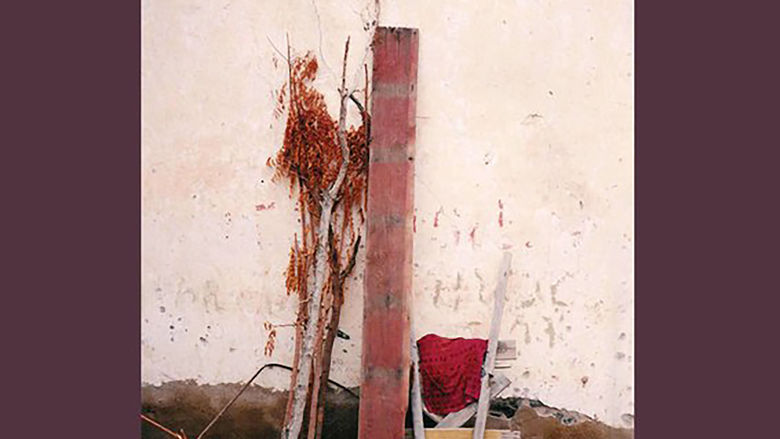 Book cover, "Where War Was, Poems and Translations from Eritrea