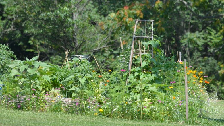 The Community Garden at the Schuylkill campus