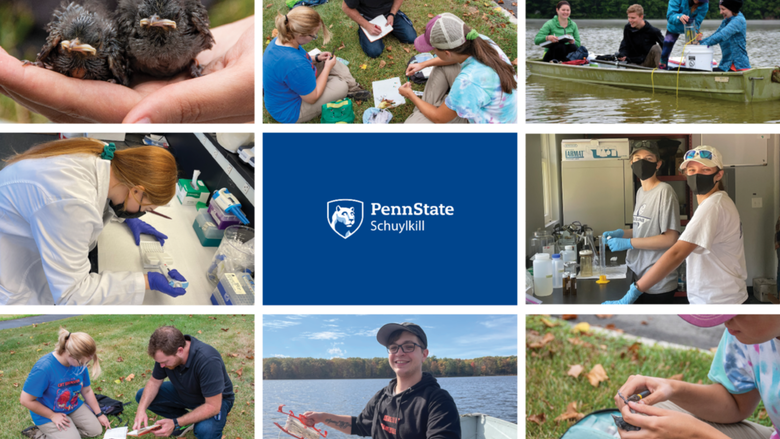 A grid of photos showing student and faculty researchers conducting fieldwork