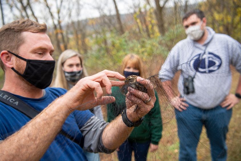 Man wearing face mask handles a small bird captured in a net in the woods while three students observe in the background.