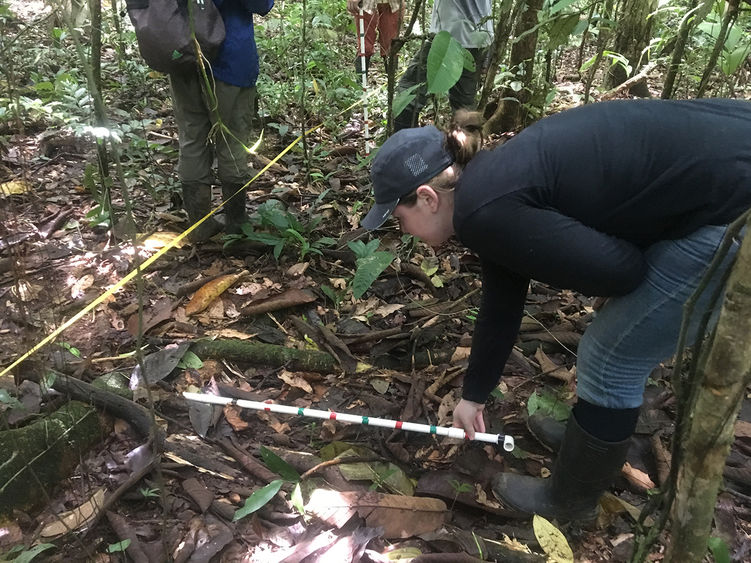 Schuylkill campus student Alyssa takes measurements while conducting research in the Costa Rican jungle.