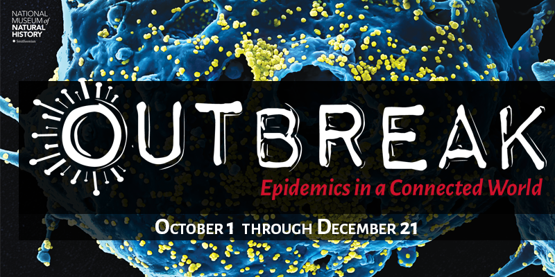 Smithsonian National Museum of Natural History features a virus close-up (on the microscopic level!) for their "Outbreak" exhibit.