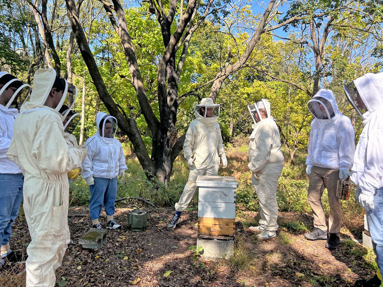 Beekeeping club