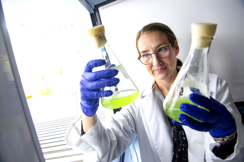 Sarah Princiotta, assistant professor of biology, holding up beakers in laboratory.