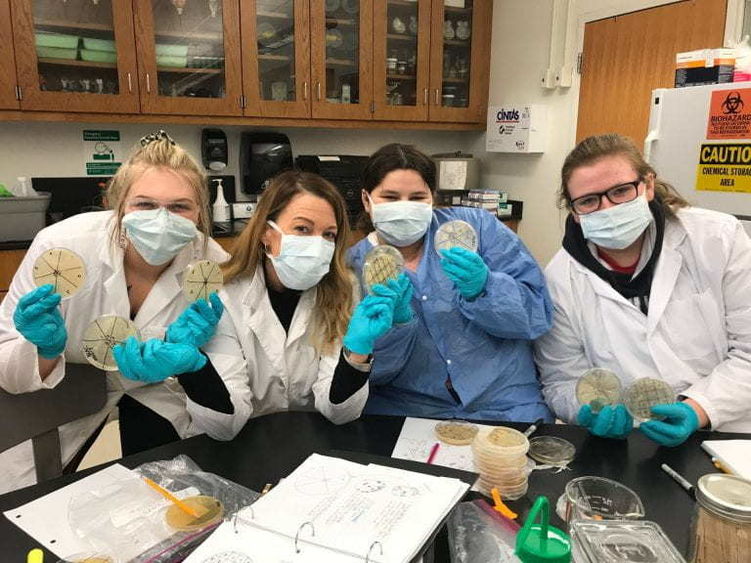 Four students wearing gloves, face masks, and lab coats hold up petri dishes smeared with diluted soil samples